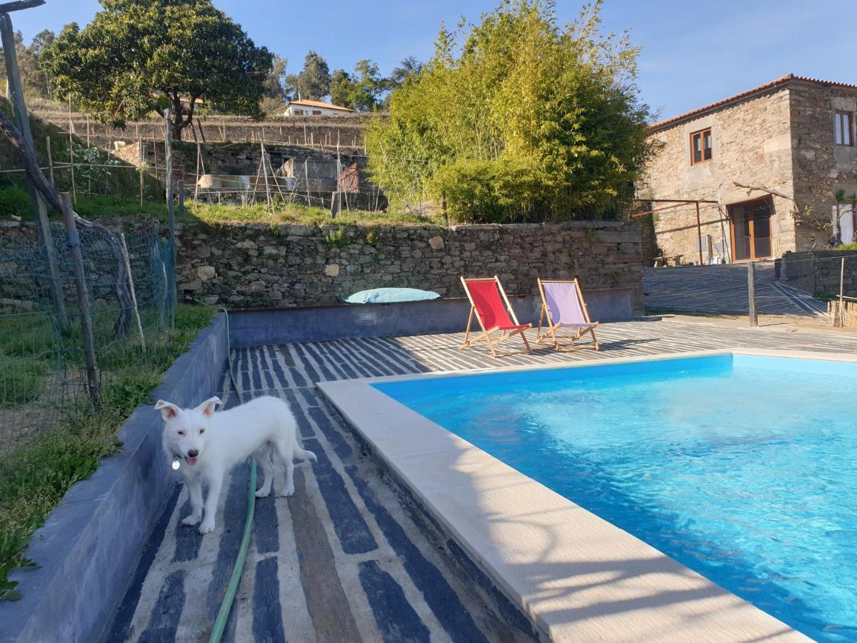 Quinta De Sobre A Fonte Charming Apartments Fontelas 외부 사진
