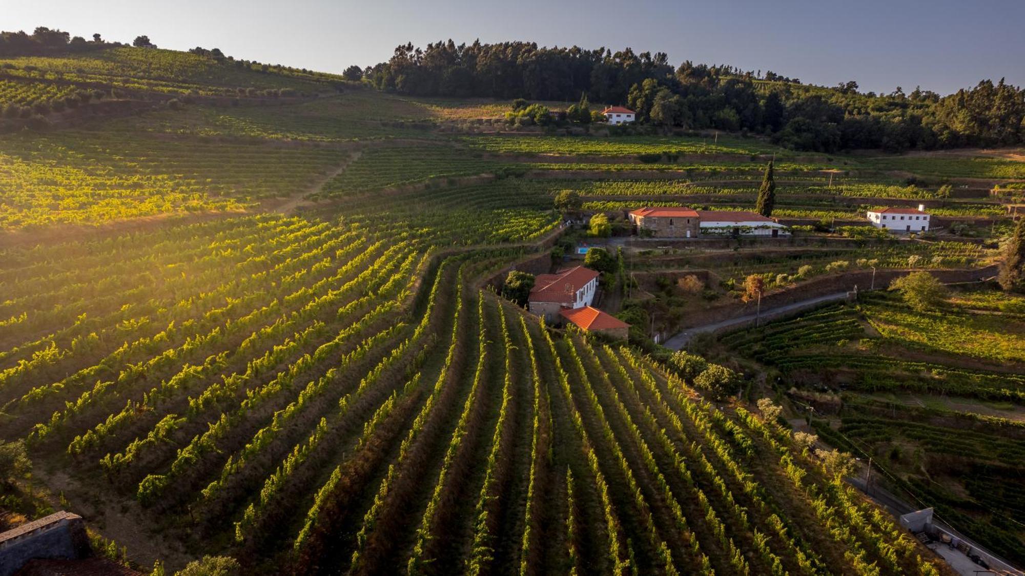 Quinta De Sobre A Fonte Charming Apartments Fontelas 외부 사진
